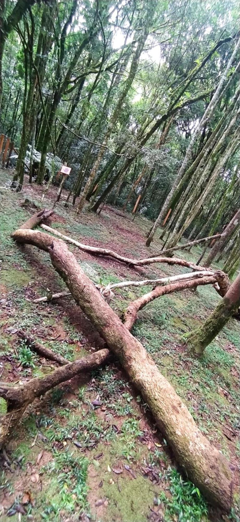 Piraquara Chacara Rancho Paraiso מראה חיצוני תמונה