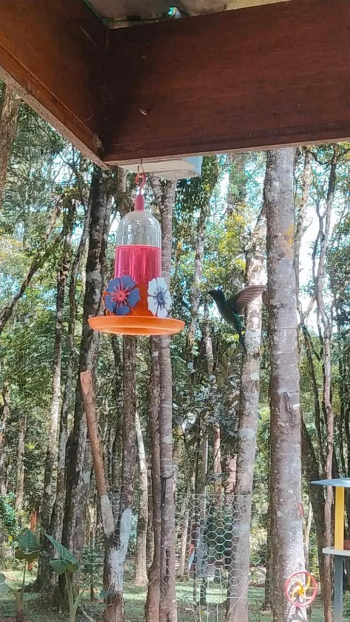 Piraquara Chacara Rancho Paraiso מראה חיצוני תמונה