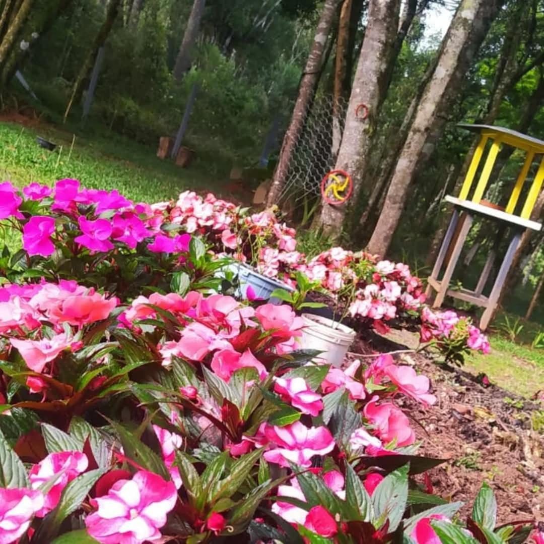 Piraquara Chacara Rancho Paraiso מראה חיצוני תמונה