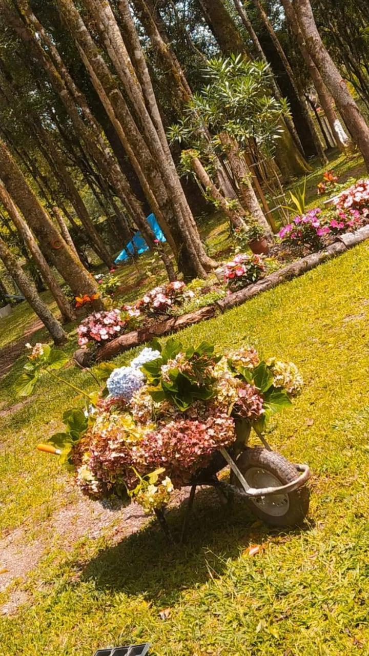 Piraquara Chacara Rancho Paraiso מראה חיצוני תמונה